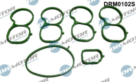 Dichtungen DRM0102S
