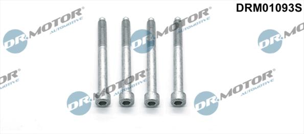 Einspritzdüsenhalterungen DRM01093S
