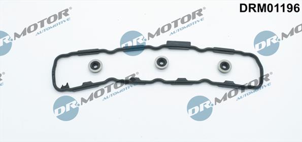 Gaskets DRM01196