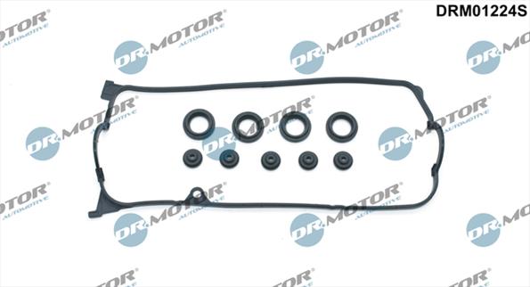 Gaskets DRM01224S
