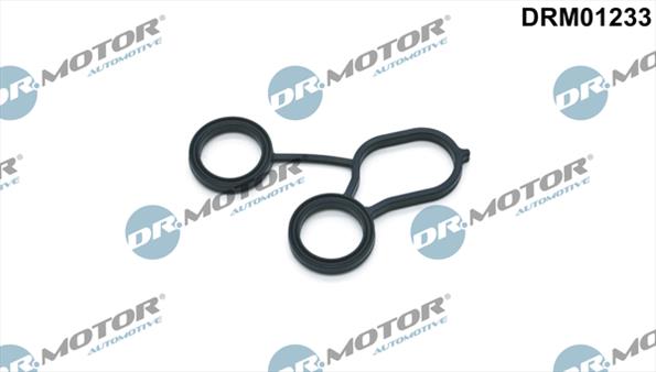 Gaskets DRM01233