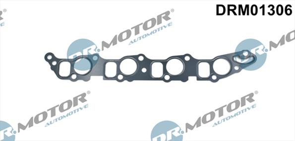 Gaskets DRM01306