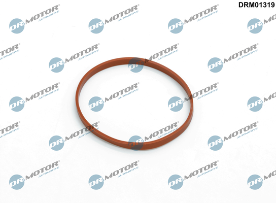 Gaskets DRM01319