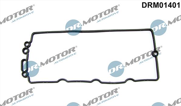 Dichtungen DRM01401