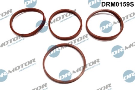 Gaskets DRM0159S