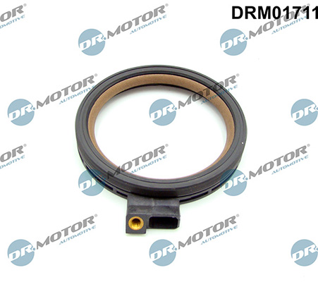 Dichtungen DRM01711