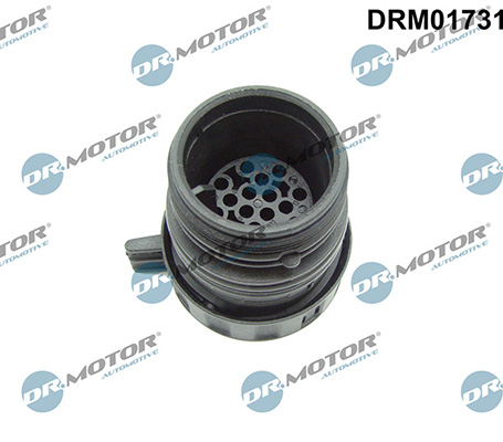 Motor DRM01731