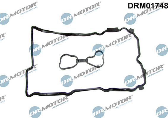 Gaskets DRM01748