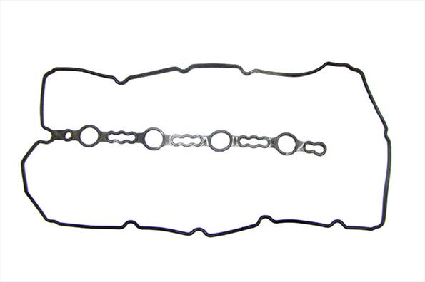 Gaskets DRM01885