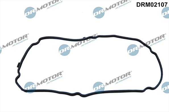 Gaskets DRM02107