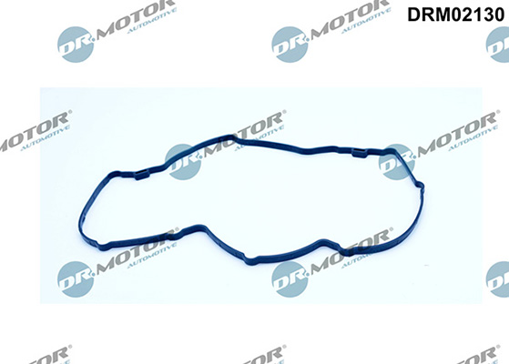 Dichtungen DRM02130