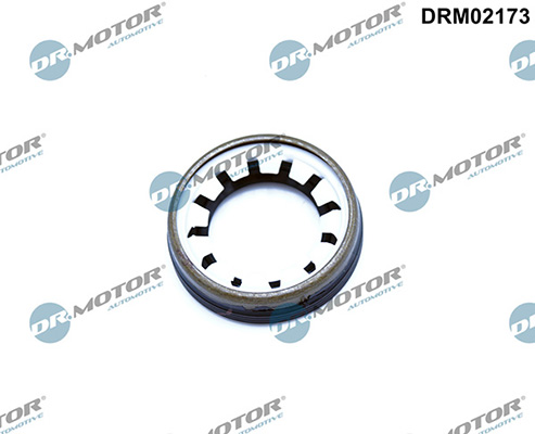 Gaskets DRM02173