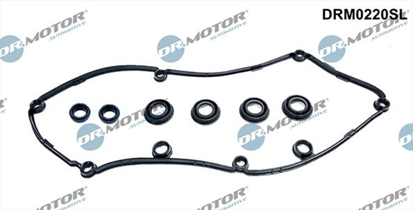 Gaskets DRM0220SL