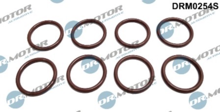 Dichtungen DRM0254S
