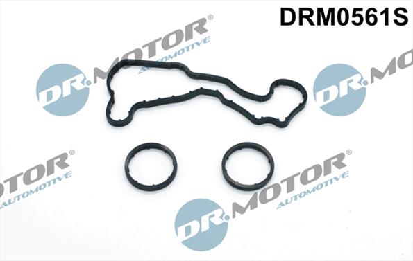 Gaskets DRM0561S