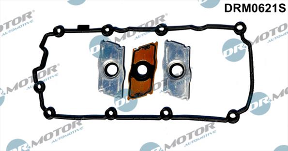 Gaskets DRM0621S