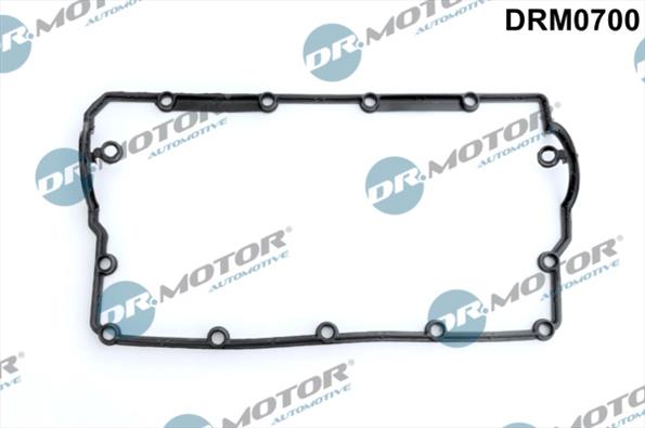 Dichtungen DRM0700