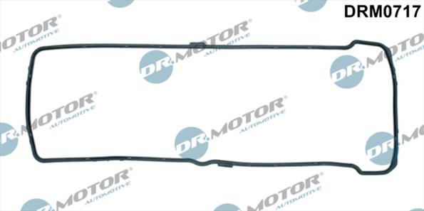 Gaskets DRM0717
