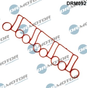Gaskets DRM092