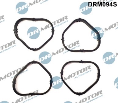 Gaskets DRM094S