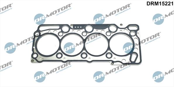 Gaskets DRM15221