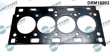 Dichtungen DRM18202