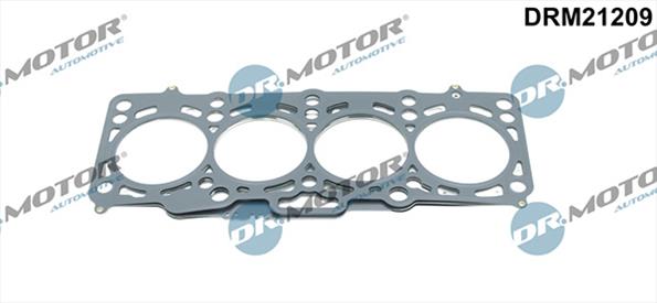 Gaskets DRM21209