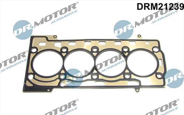 Joints DRM21239