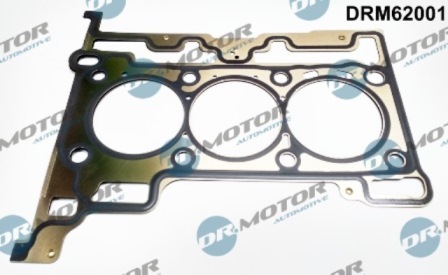 Dichtungen DRM62001