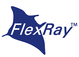 LIZARTE:NEW PART NUMBER WITH FLEXRAY PROTOCOL